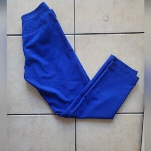 Vince Camuto Royal Blue Women Pants